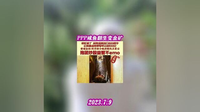 PPP咸鱼翻生变金矿#国有银行提供超长贷款 #红森黄埔金校 #红森双维动力趋势系统 报名参赛通道持续开启中~