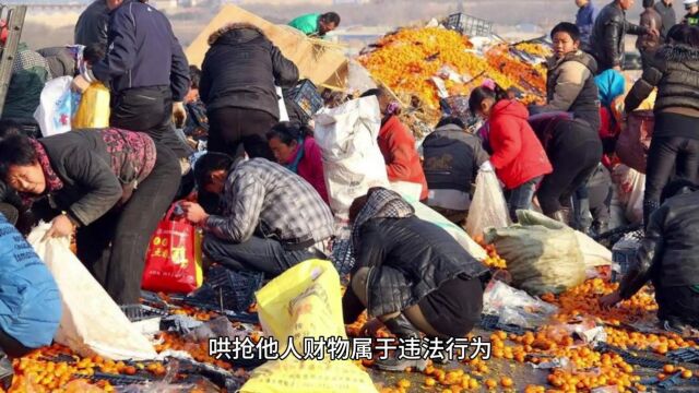 北方某地现“哄抢事件”,原因为何?