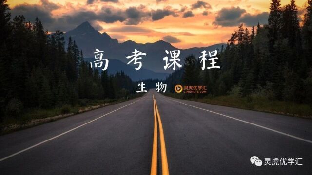 高考课程 生物 69 神经递质的作用场所 神经中枢——高级神经中枢及实例分析