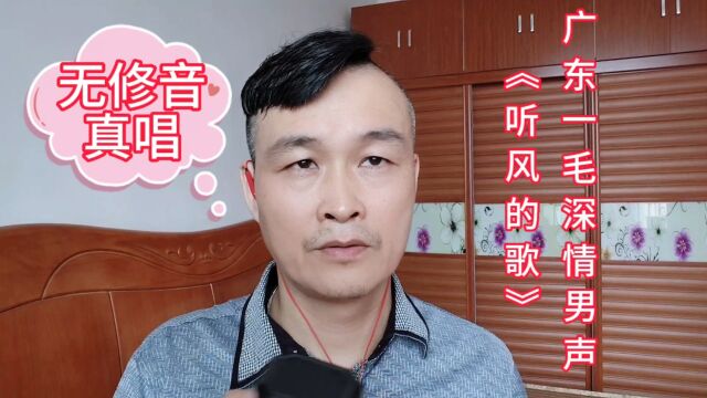 无修音真唱(广东一毛深情男声)《听风的歌》