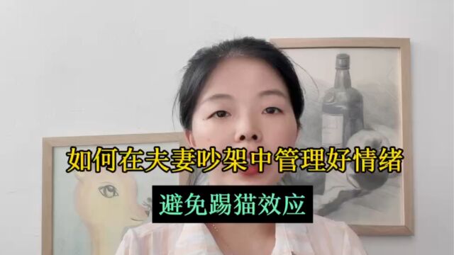 如何在夫妻吵架中管理好情绪:避免踢猫效应