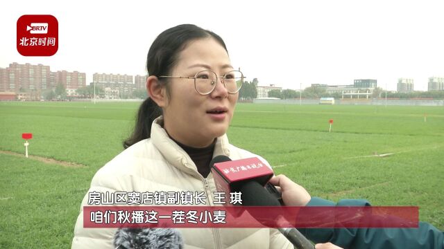 加速建设!房山区特大暴雨灾后重建工作正在稳步推进!