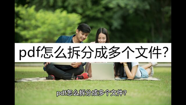 pdf怎么拆分成多个文件?这几个拆分方法收好