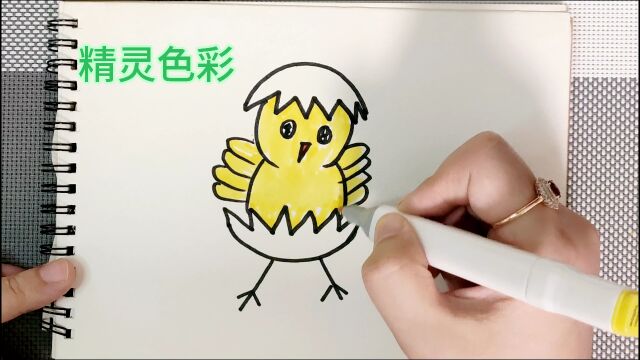 简笔画视频教学教程小鸡