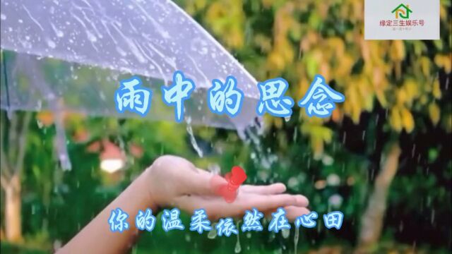 歌曲《雨中的思念》,优美动听,关注成为粉丝,观看更多视频.