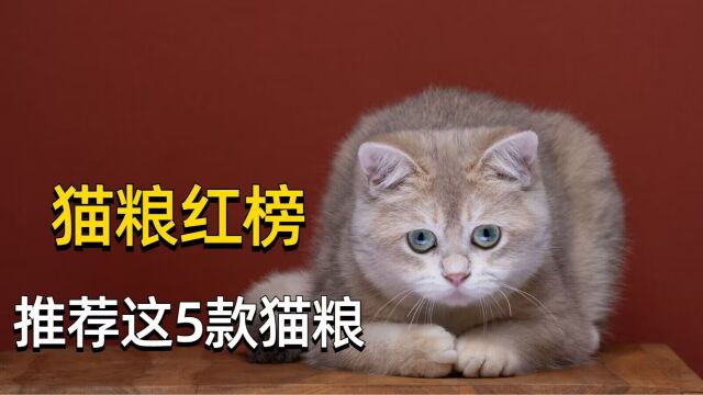 猫粮红榜!推荐这5款猫粮