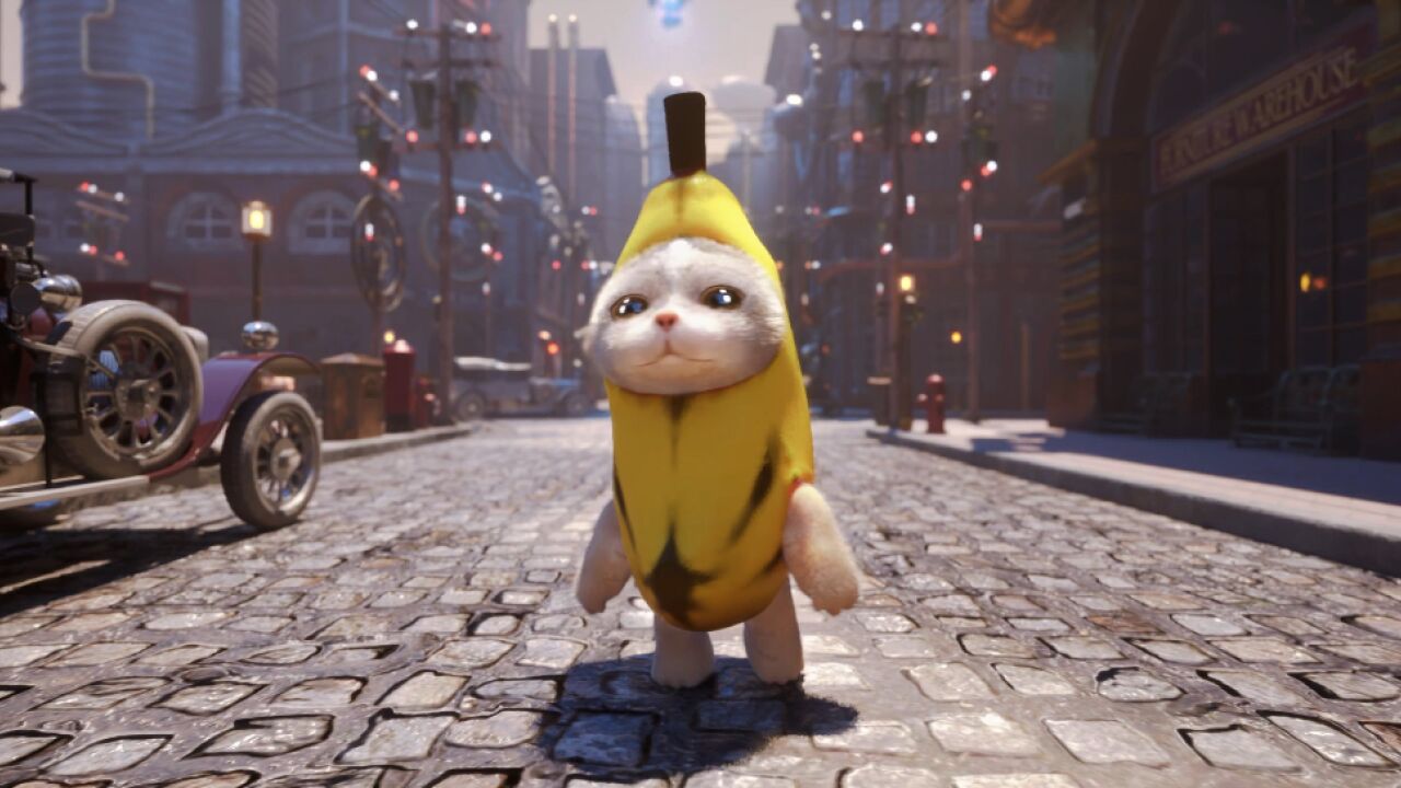 香蕉猫音乐纯享版