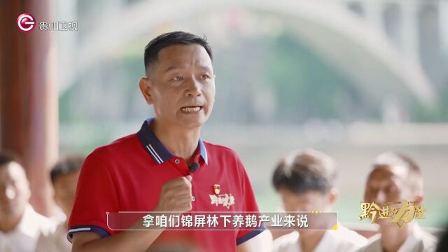 “黔”进的力量 | 《林下经济的县域实践》(完整版)