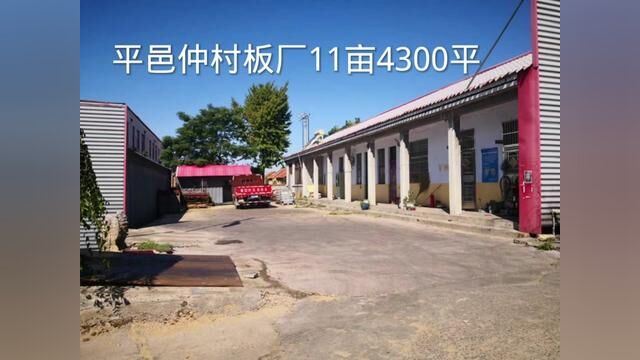 平邑仲村11亩板厂,厂房4300平方,办公室宿舍,有200变压器,板材全套生产设备齐全,70万大卡锅炉,环评安评手续