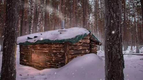 我舒适的防空洞：冬季营地、小木屋建造、丛林生存