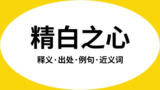 “精白之心”是什么意思?