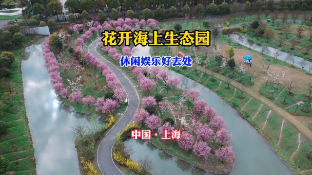 来上海值得一游,花开海上生态园旅游攻略来了