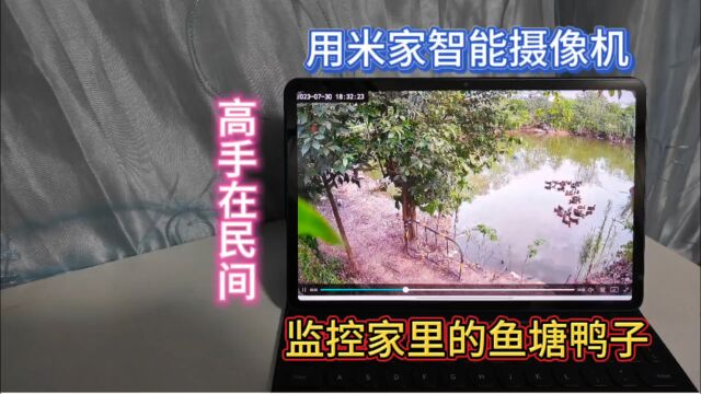 高手在民间,农村赶集偶遇高科技,小米智能摄像机实时监控卖鸭子