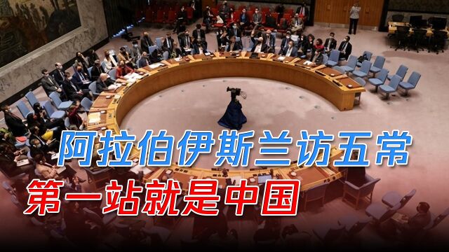 以色列不把停火决议放眼里,阿伊带团上门找五常,第一站就是中国