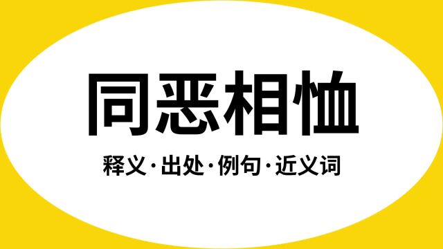 “同恶相恤”是什么意思?