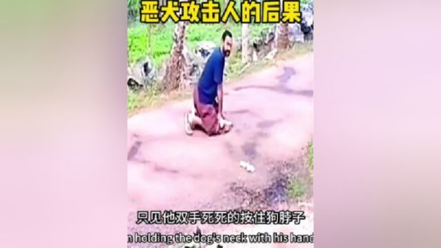 养狗不拴绳的后果