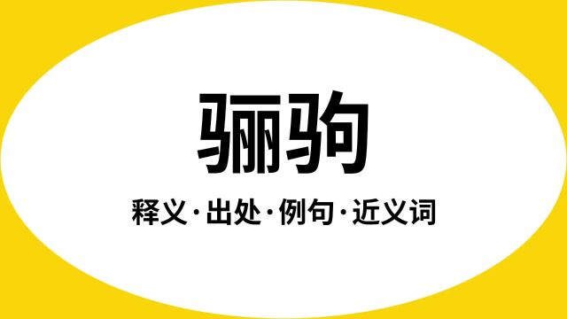 “骊驹”是什么意思?