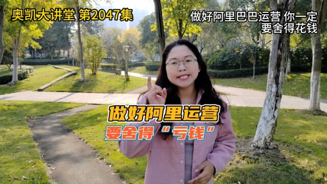 2047 做好阿里巴巴运营 你一定要舍得亏钱