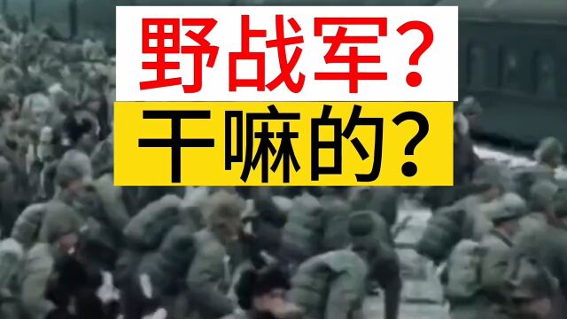 野战军,干嘛的?