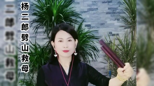 河南坠子《杨二郎劈山救母》