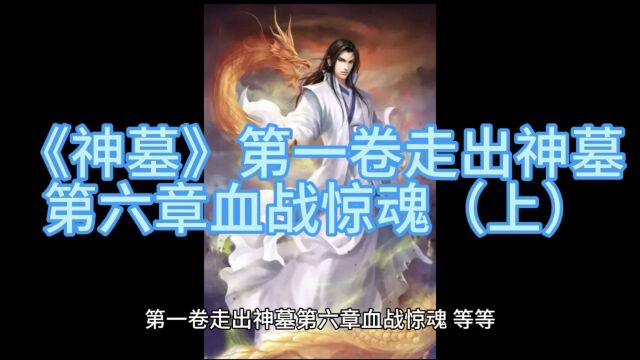 《神墓》玄幻小说第一卷走出神墓第六章血战惊魂(上)