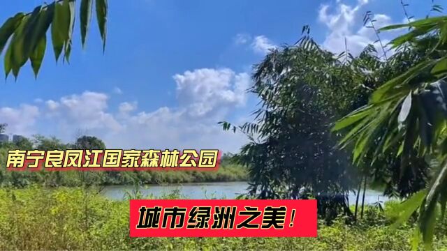 南宁良凤江国家森林公园:城市绿洲之美!