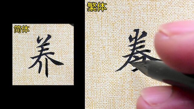 30秒速成,掌握新技能!手把手教你书写“养”的繁体字!