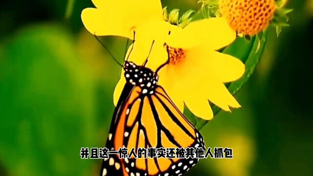 狗仔直播间曝娱乐圈大瓜,称某二字影帝婚内出轨嫩模,还被人抓包.