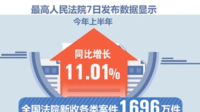 最高人民法院:上半年全国法院新收各类案件1696万件