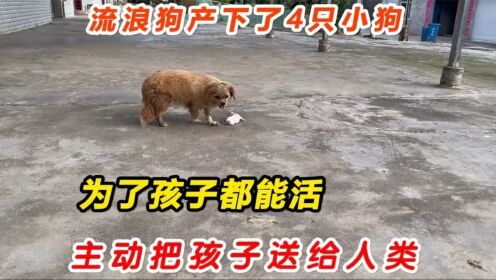 腾讯视频