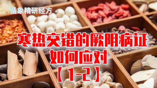 厥阴病证一,白虎汤、当归四逆汤、当归四逆加吴茱萸生姜汤(2)