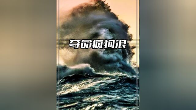 让船员闻风丧胆的怪物,毁船就跟撕纸一样简单,疯狗浪是怎样形成的?#科普#疯狗浪#涨知识#冷知识