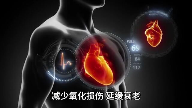 桑葚原浆是什么?盘点它的主要功效与作用