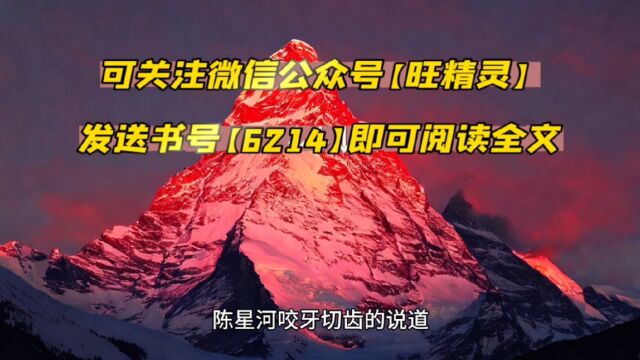 带12个妹妹逛街奖励加倍(陈星河小说)○全文免费阅读全章节