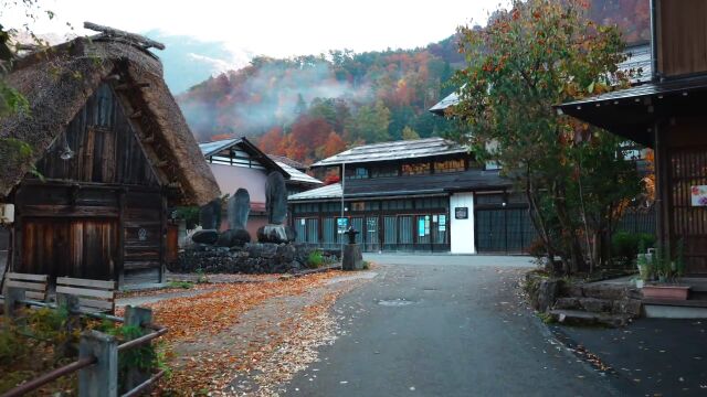 日本白川乡秋景——以原生态建筑而闻名的网红村庄