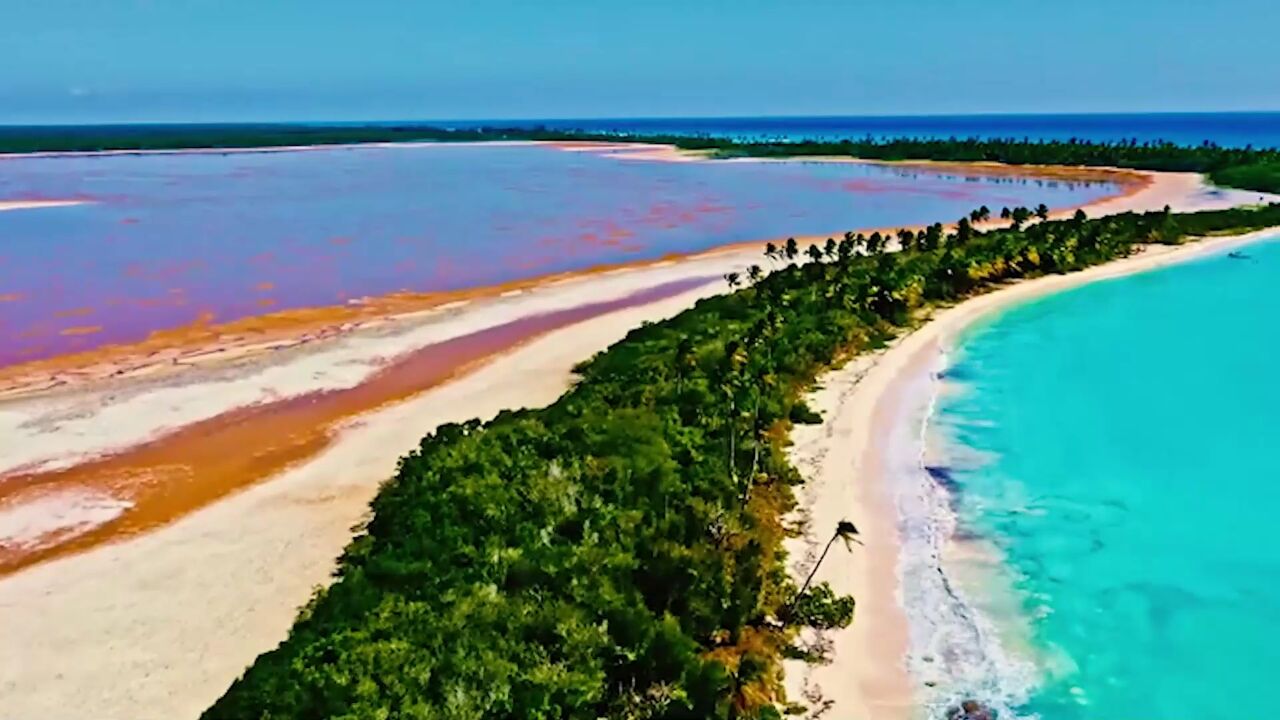 怀旧经典金曲:兰卡措《梦中的绿洲》