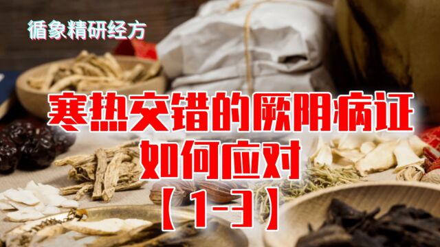 厥阴病证一,白虎汤、当归四逆汤、当归四逆加吴茱萸生姜汤(3)