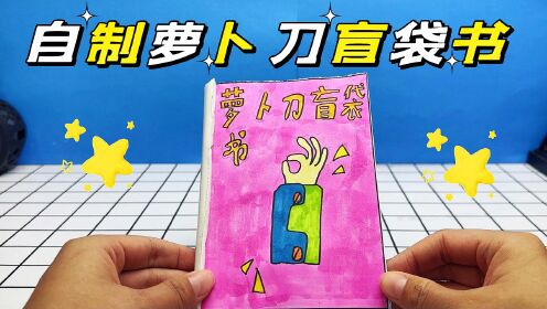 自制萝卜刀盲袋,每个里面都是不同的萝卜刀,真好玩!