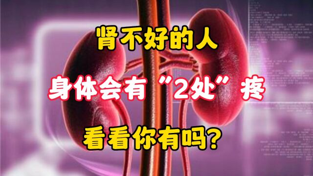 肾不好会有2痛找上你,看看你有吗?