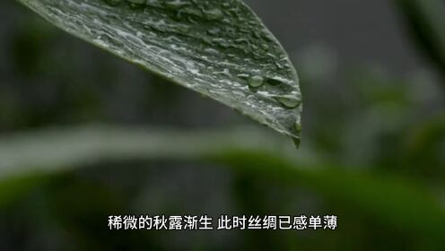 闺怨诗一首走起，秋夜曲唐王涯