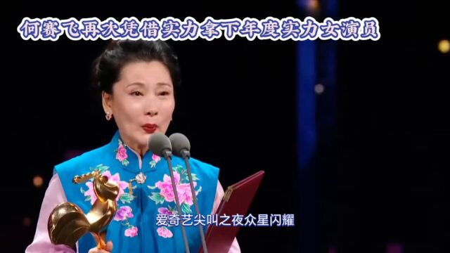 何赛飞再次凭借实力拿下年度实力女演员