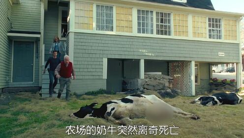 《腐烂》第23集农场的奶牛离奇死亡，死因也非常的诡异