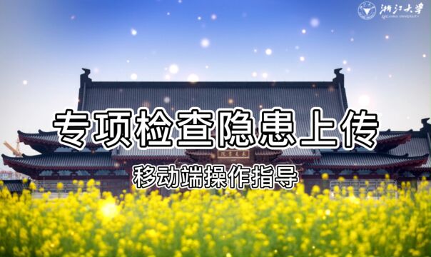 15 专项检查隐患上传