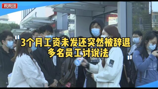 帮忙直通车:多名员工三个月工资遭拖欠 找公司协商却被突然辞退