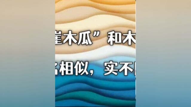 “崖木瓜”和木瓜:名相似,实不同!#植物科普 #稀有植物分享 #药用植物 #生命力强大 #文冠果