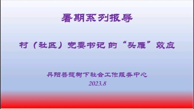 暑期系列报导村(社区)党委书记的“头雁”效应