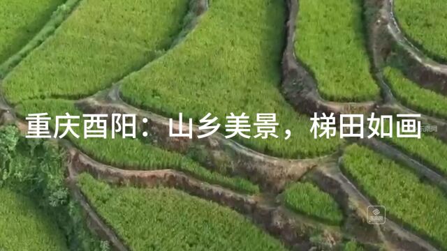 重庆酉阳:山乡美景,梯田如画