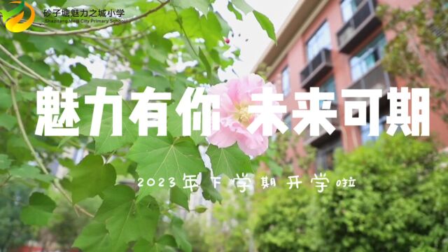 长沙市雨花区砂子塘魅力之城小学校歌《在阳光照耀下》