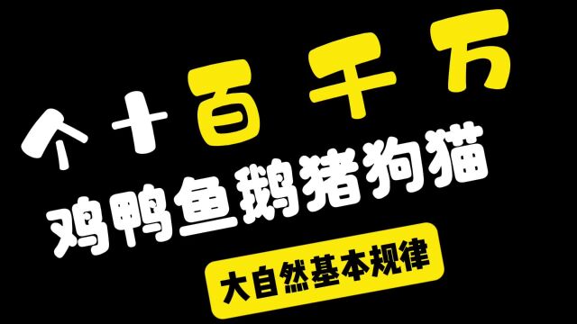 个十百千万鸡鸭鱼鹅猪狗猫