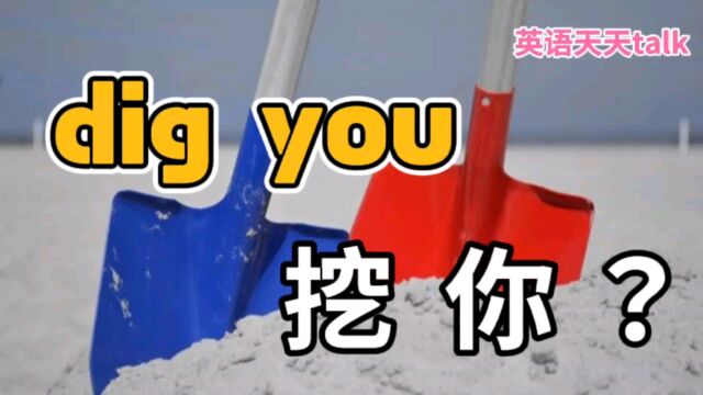 老外对你说“I dig you”,到底是要挖你什么呢?